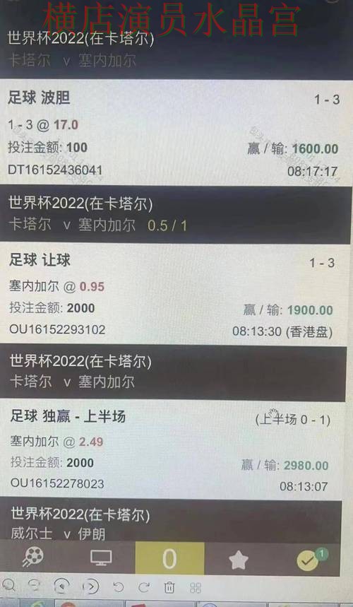 世界杯买球网站盘口波动说明了什么，细节一次讲清